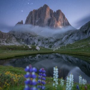 Free Alpine Peak Under Stars with Wildflowers 4K