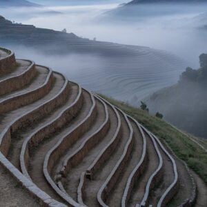 Free Ancient Mountain Rice Terraces in Mist 4K