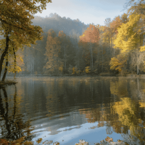 Golden Autumn Trees Mirrored on a Tranquil Lake Surface – Free Download