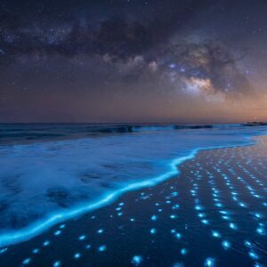 Bioluminescent Beach Waves with Glowing Blue Water at Night (4K) – Free CC0 Stock Photo