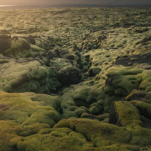 Free Sunlit Moss Volcanic Landscape Iceland 4K
