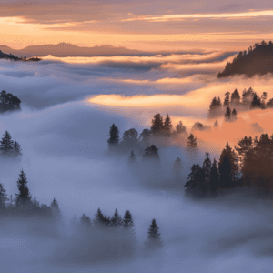 Golden Morning Mist and Sunlight Beams Over Foggy Landscape – Free 4K Image
