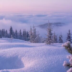 Serene Snowy Forest at Sunrise Above Pink Winter Clouds